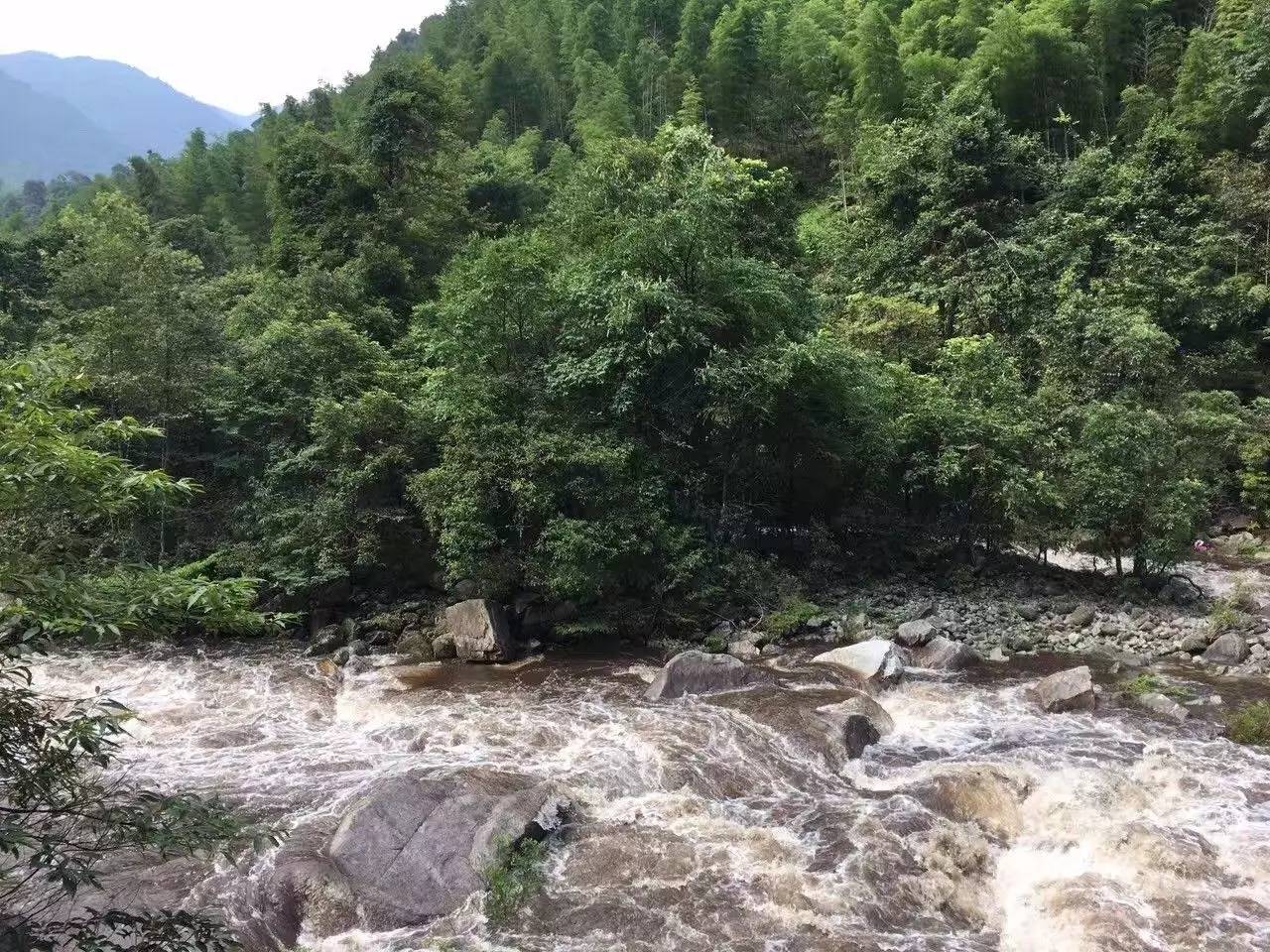 来势凶猛不可_来势凶猛在哪可以看_来势凶猛势不可挡的成语