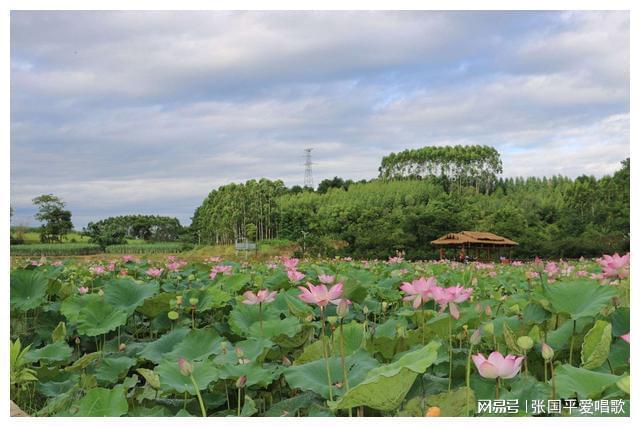 7899地铁笨蛋-地铁上的奇葩行为：跳舞大叔、大声看电影的大