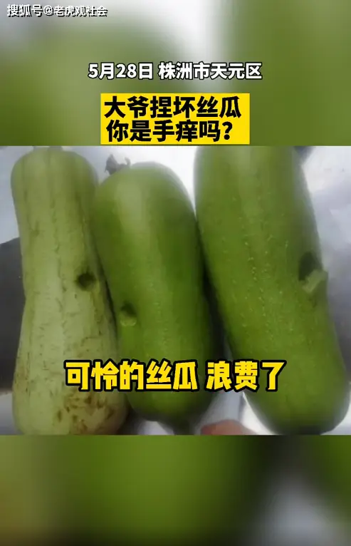 手上全是洞的恶心图片_恶心图片虫子_恶心的图片有吗