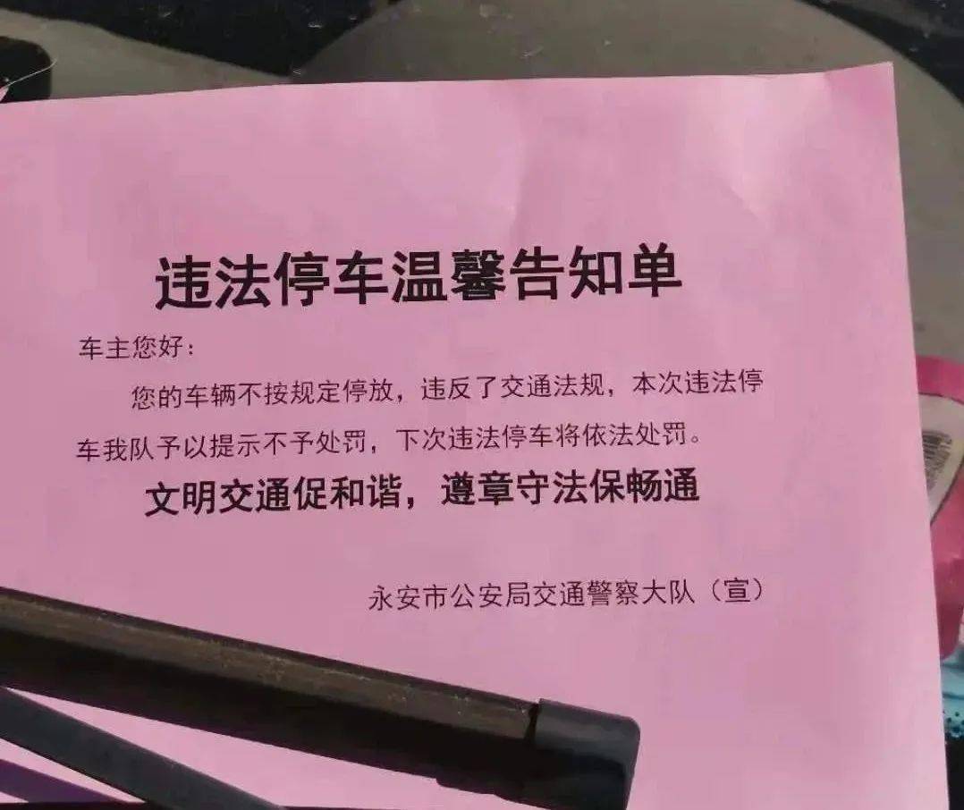 安卓手机电子狗软件_手机软件电子狗哪个好_安卓电子狗