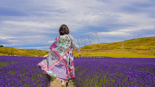 薰衣草美女唯美背影图_唯美背影美女图薰衣草图片_唯美背影美女纹身图片