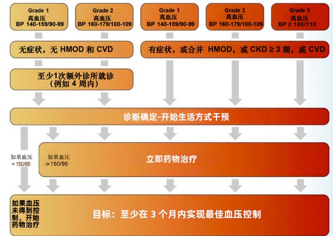 2020心血管进展_心血管新进展_心血管研究进展