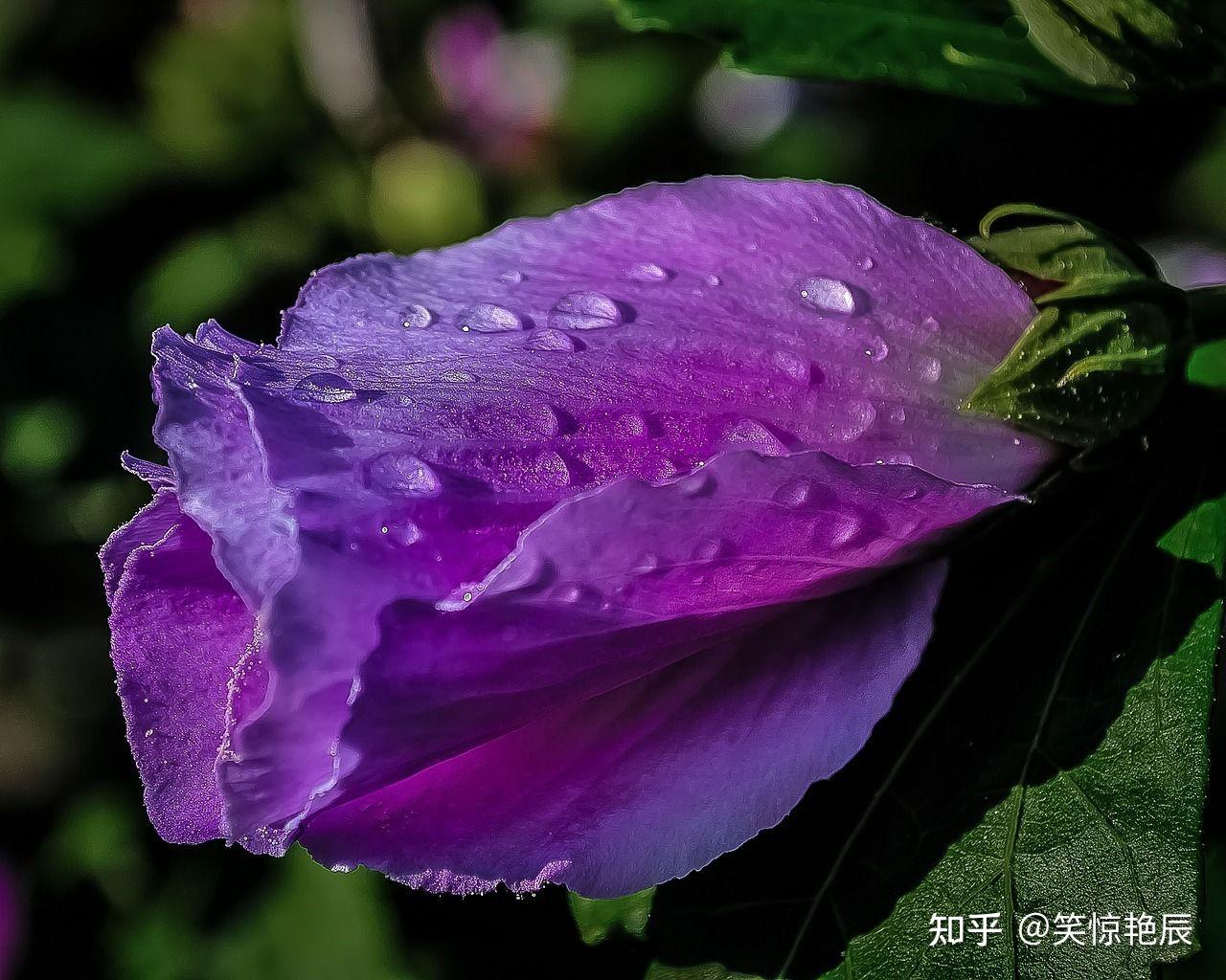 雨前雨后大不同-雨前雨后心情大不同，你是否也有同样的感受？