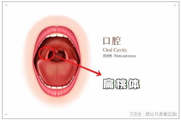 眼睛otc检查上rp改变是什么意思_眼睛otc检查怎么做_眼部检查otc