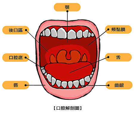 洞玄子里介绍的窄阴法有效吗-窄阴法真的能让女生的私密处变得更