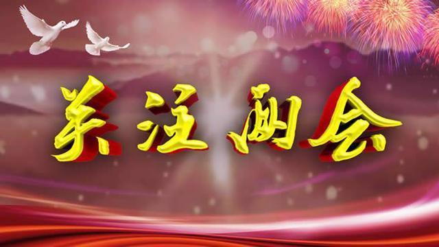 重庆两会报道_两会 重庆 游戏_重庆两会地点