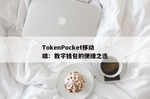 tokenpocket下载移动端,安全便捷的数字资产管理工具