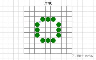 生命游戏与门,探索细胞自动机中的生存法则与演化奥秘