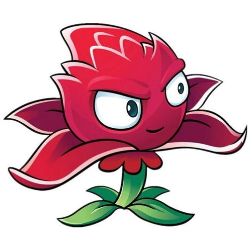 红针花