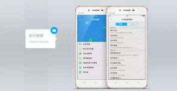 怎样查看vivo安卓系统版本,vivo安卓系统版本查看指南